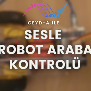 Sesle Robot Araba Kontrolu